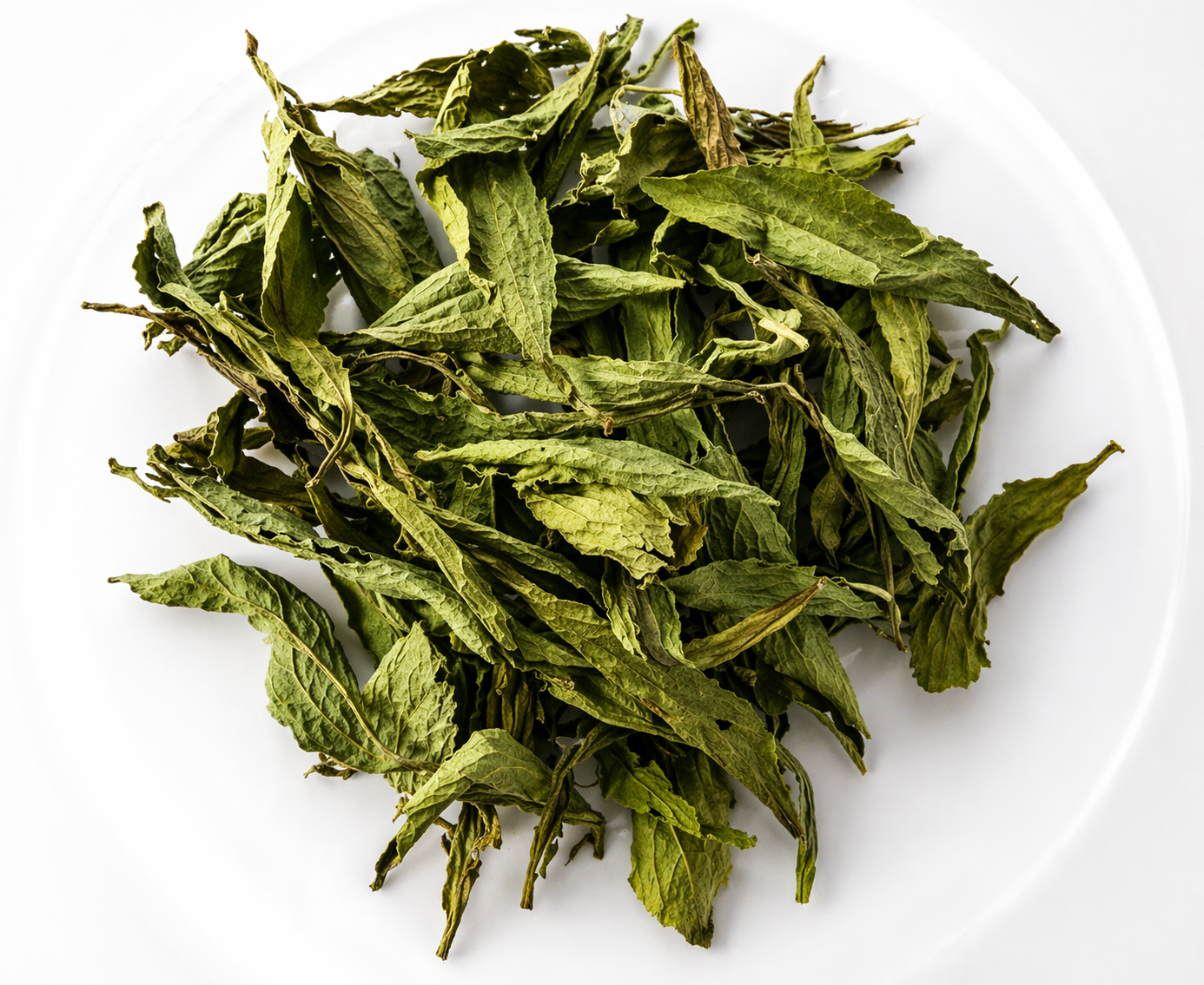 Stevia en Hojas (20 gr)