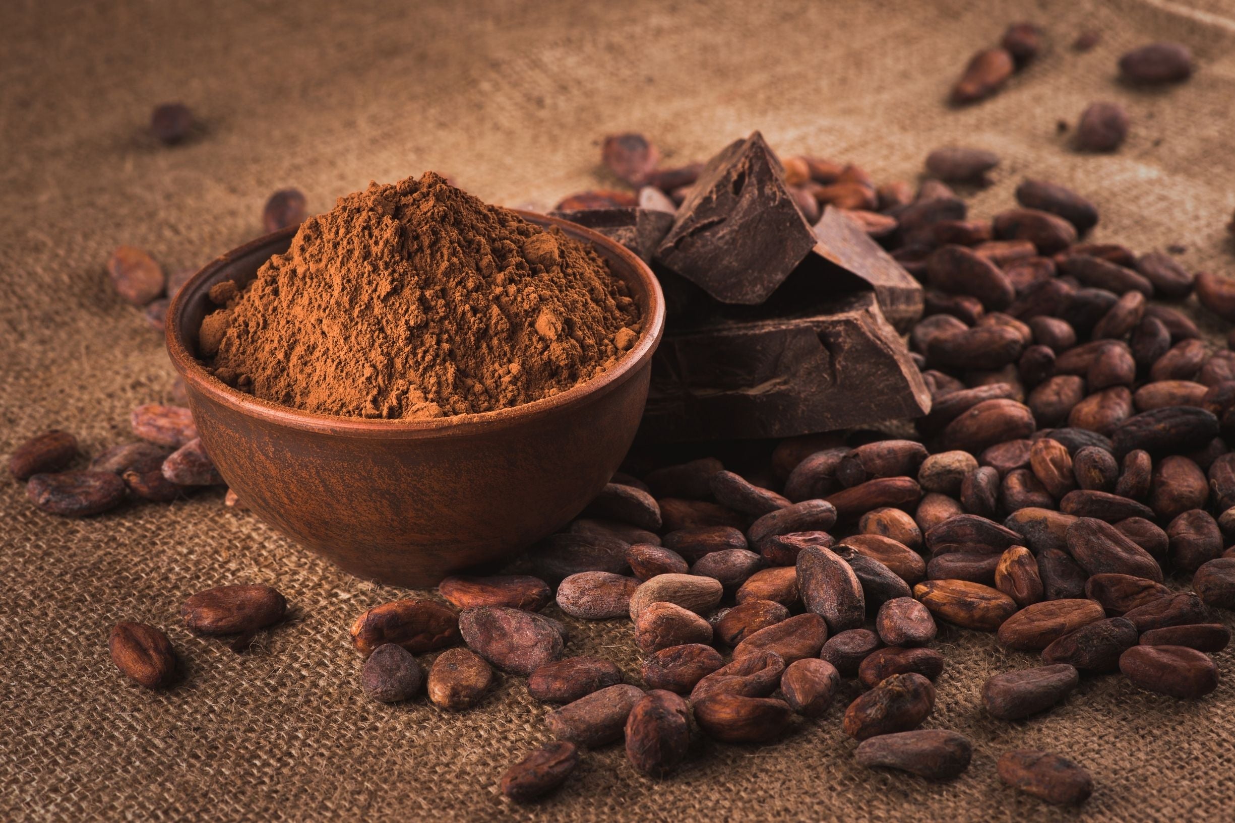 Cacao Amargo