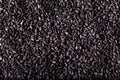 sesamo negro