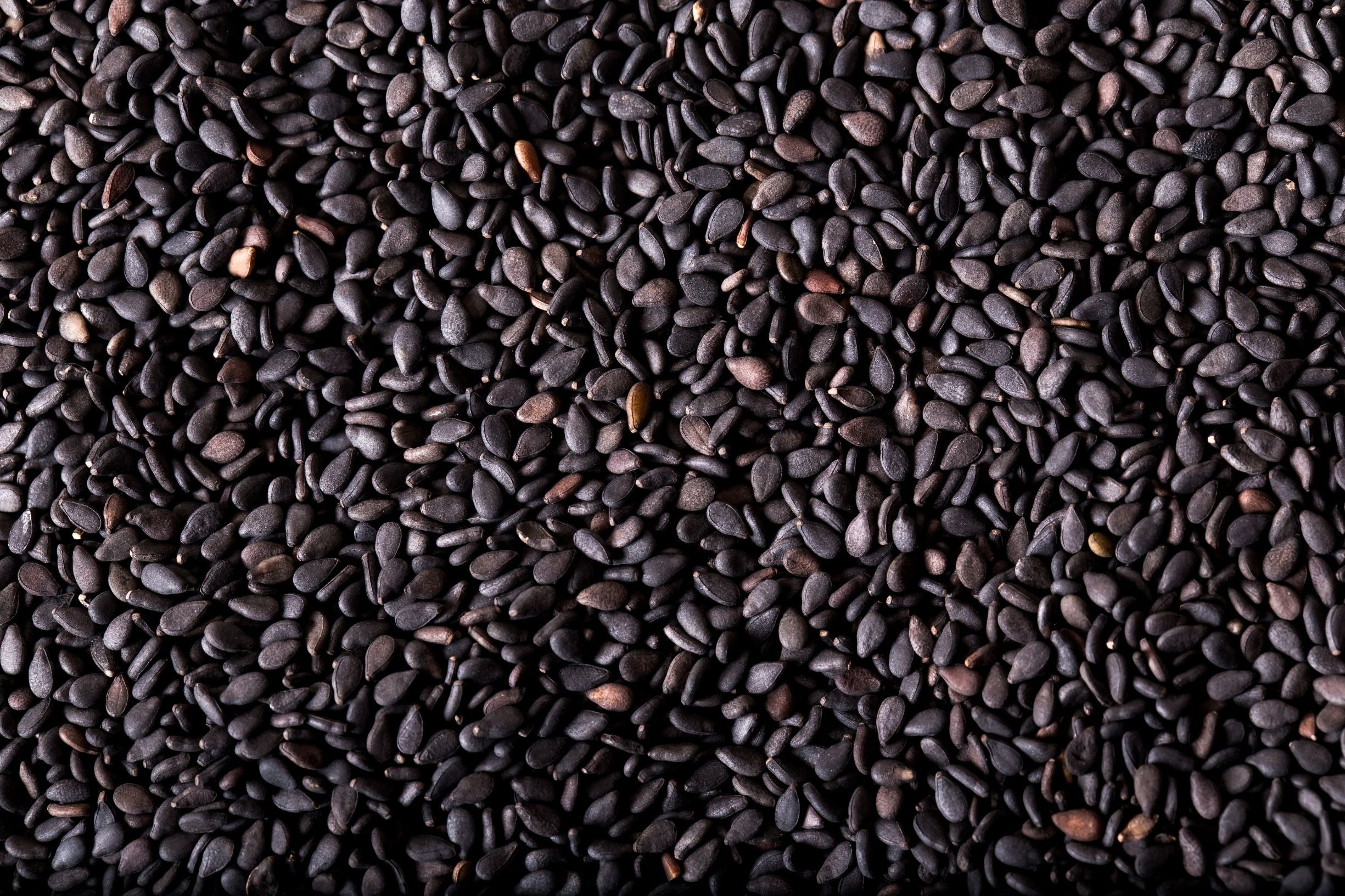 sesamo negro